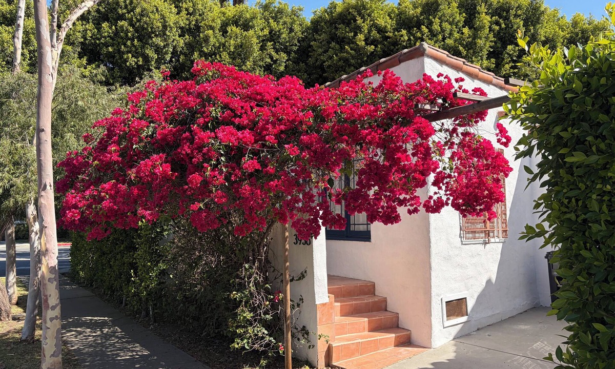 Mar Vista Cottage | Beautiful bright Spanish style house in Venice with modern furniture