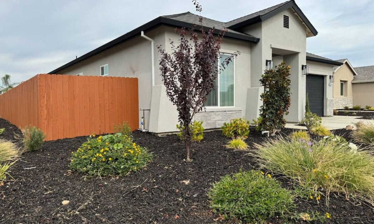 Florin House | Brand New 4BR · Single Story · Fruit Trees · Near Park