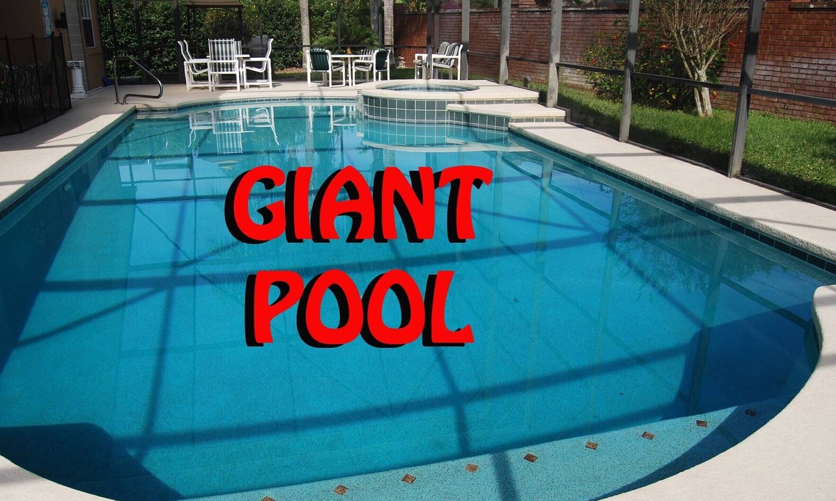 West Kissimmee House | CLEAN! Themed, HUGE salt pool, Private yard, GREAT reviews, Game room, Free BBQ