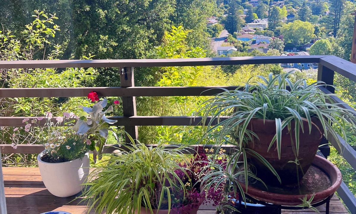 Fairfax Apartment | Japanese style inspired 2-bedroom apartment in tranquil Fairfax neighborhood