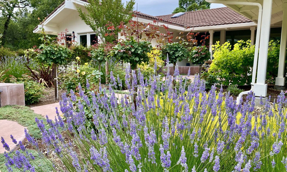 Sonoma House | Luxury Wine Country Living—A Private Sonoma Escape Just Minutes from the Plaza
