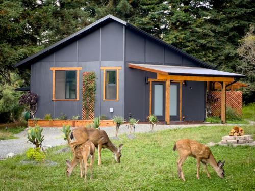 Pacific Apartment | New, Modern, Country-feel, close to Arcata