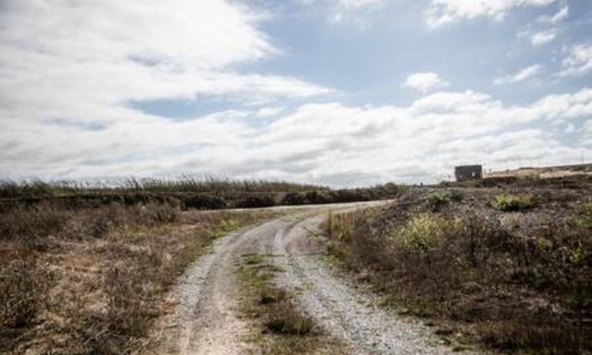 Pescadero House | Ocean view guesthouse just minutes from the beaches.