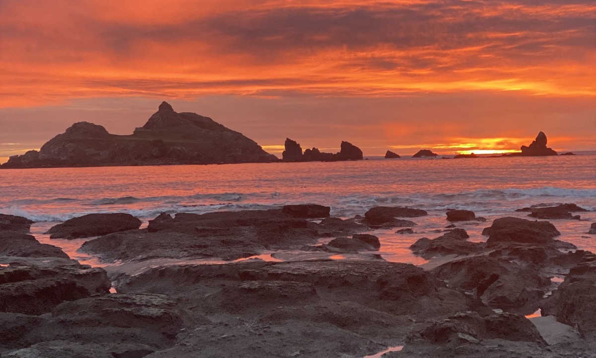 Crescent City North House | Oceanfront Retreat. Sunset Views. Whale Watching. Redwood Groves, 2 King Beds