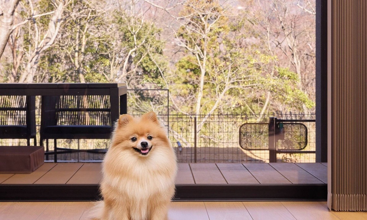 Gora House | Rakuten STAY VILLA Hakone Gora C Pet 4 Single Ro/Ashigarashimo District Kanagawa