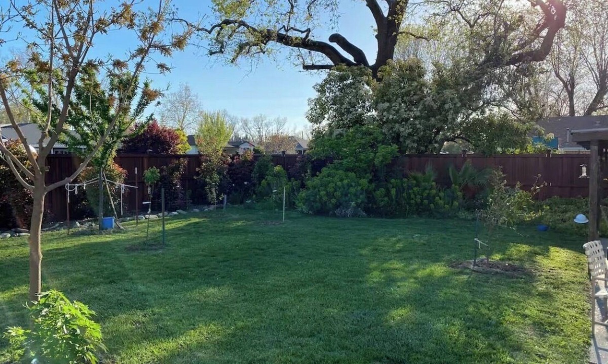 Woodland House | Spacious 4BR house in quaint Woodland.15 min from UC Davis & Sacramento Airport