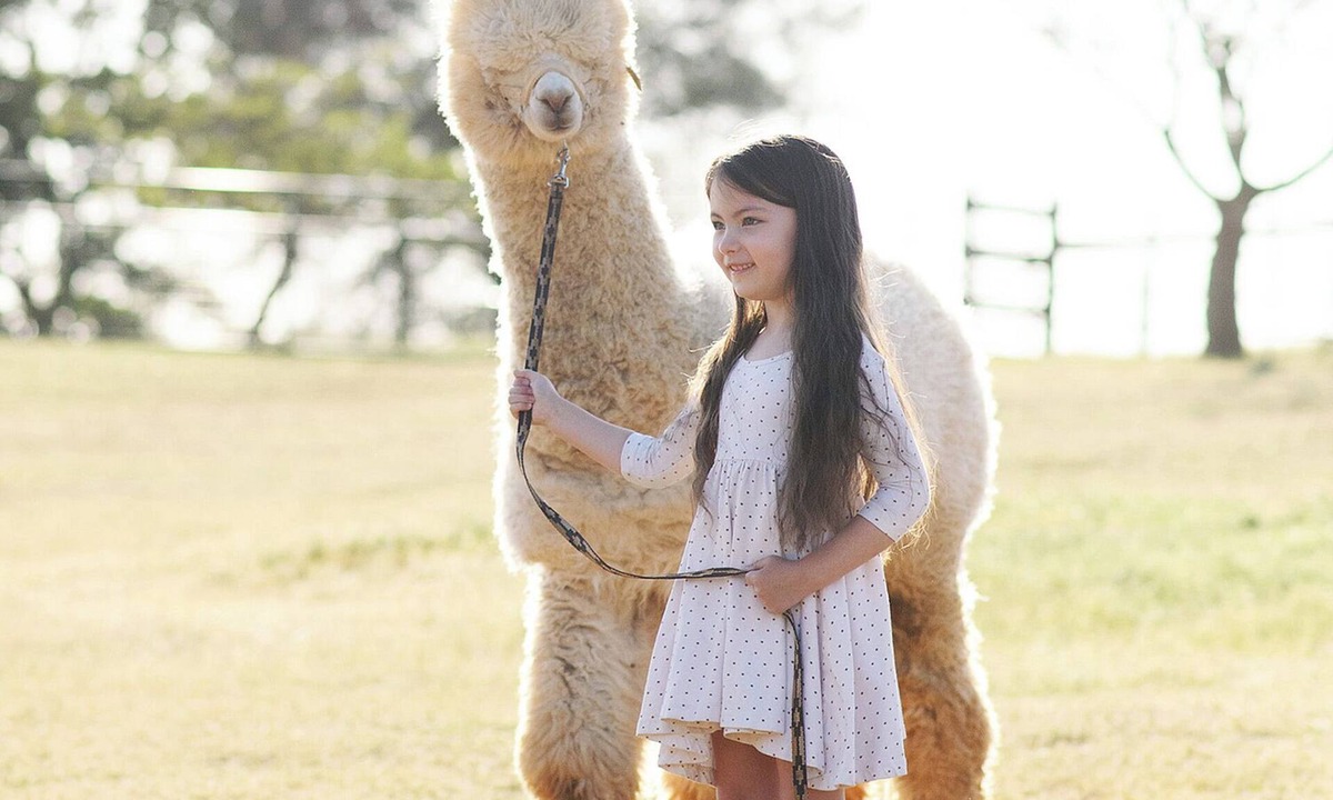 Lincoln House | Unique Experience and Stay on a Working Alpaca Ranch.