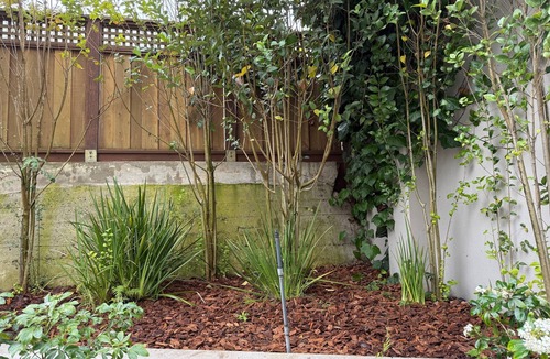 Pacific Heights Apartment | 2-bedroom apartment in excellent San Francisco near vibrant neighborhoods