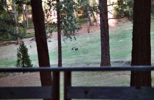 Groveland House | 6 Miles to Yosemite Entrance 14 Acre Private & Gated Retreat Wildlife Sanctuary