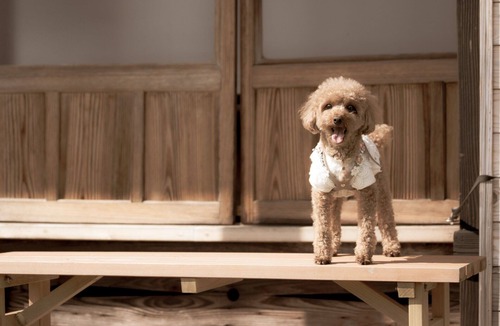 Ina House | An inn with an irori hearth for a night without me/Ina Nagano