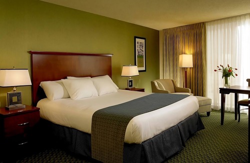 Laughlin Hotel | Aquarius Casino Resort Laughlin | Luxury Room | Gaming & Riverwalk