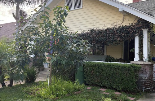 Melrose House | Beautiful Craftsman Home in Terrific Hollywood Neighborhood