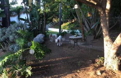 Fallbrook House | Beautiful new detached casita nestled in scenic southern CA foothills!