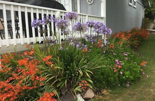 Harbor House | Beautiful, spotlessly clean Cottage by the sea