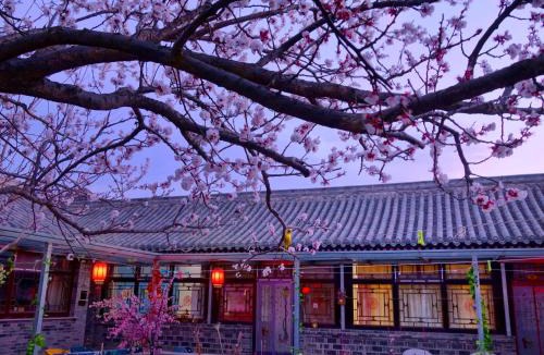Badalingzhen House | Beijing Badaling Great Wall Caos Courtyard guesthousel 1Private english tour guide 2Pick up&Drof off &landmark visiting serivice3Very near to Badaling Great Wall4Offer free beijing travel guide5Traditonal Chinese courtyard