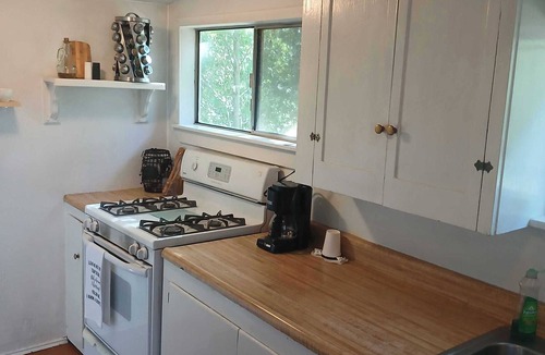 Holy City Cabin | Charming 1 Bdrm Cabin at Lupin Lodge Clothing-Optional Naturist Resort Los Gatos