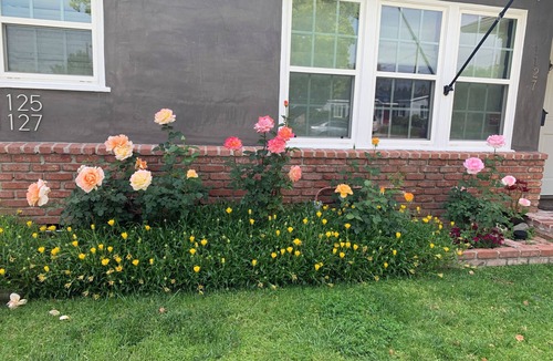 Magnolia Park House | Charming 1-bedroom house in convenient Burbank with AC