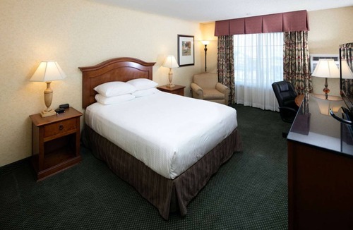 Downtown Hotel | Charming Pet-Friendly Room Near Redwood Forest - Easy Access to Hwy 101