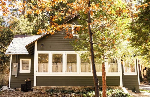 Forest Falls House | Charming, Vintage & Authentic Getaway - Sunroom - Free Parking!