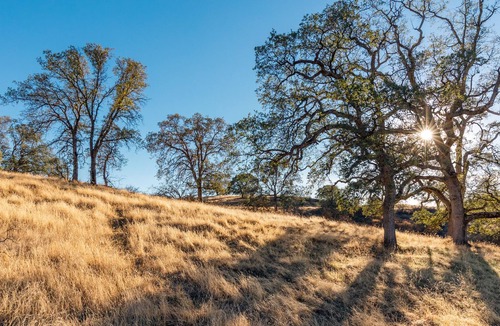 Hayward House | Cheerful 5-bedroom home at Lake Don Pedro