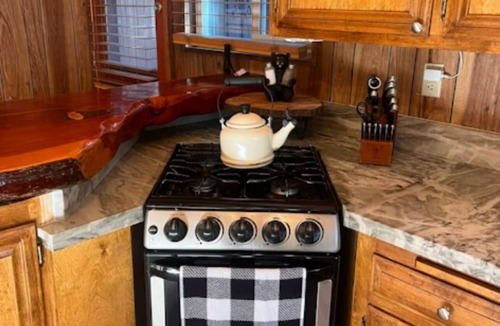 Woodlands Cabin | Cozy Bear Retreat + Hot-Tub & BBQ!