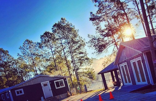 Davenport Cottage | Cozy Forest Retreat Mid-Century Charm Fireplace 20 Min to Disney
