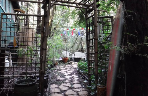 Felton Cabin | Dharma Forest Meditation Retreat in Felton near Lake