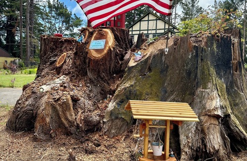 Crescent City House | Glamping Among Redwood Trees Cozy Camper Pet Friendly