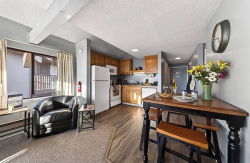 Bijou Park Condo | Lakefront Condo + Views + Near Dining and Skiing | Beach Front Perch