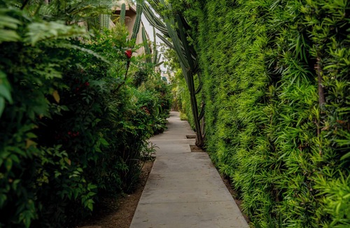 Valley Village Apartment | Luca's Tree Flat! The 1bed condo in Studio City/Valley Village
