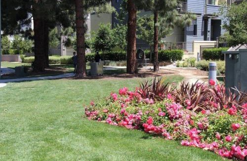 Palo Alto Apartment | Luxury 3 Bedroom 3 Bathroom Retreat Near Stanford Meta Gooogle