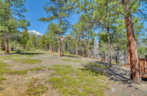 Buena Vista Cabin | 'McCall Creekside Cabin' Secluded Buena Vista Gem!