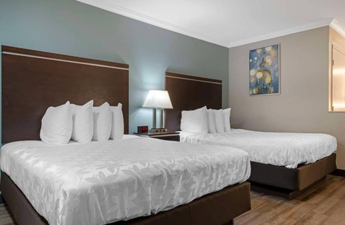Anaheim Resort Hotel | Modern Room Close to Disney California Adventure