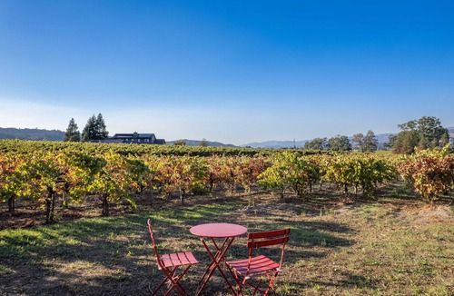 Healdsburg House | Modern Vineyard House