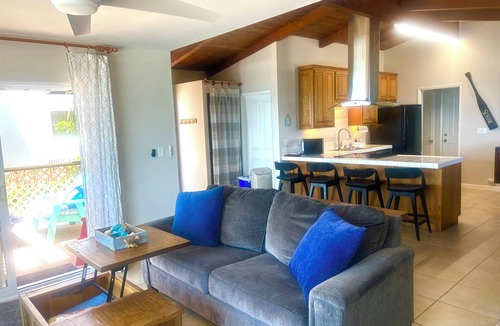 Leucadia House | Oceanfront Dolphin Views at the Edge of the USA. 2-Bed 1-Bath Pet-Friendly.