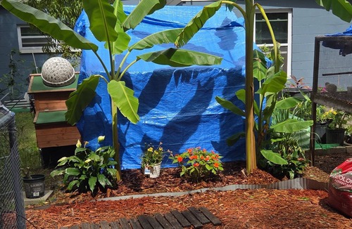 Southwest Orlando House | Orlando Tiny Home retreat Near Downtown with garden, with animals and AC.