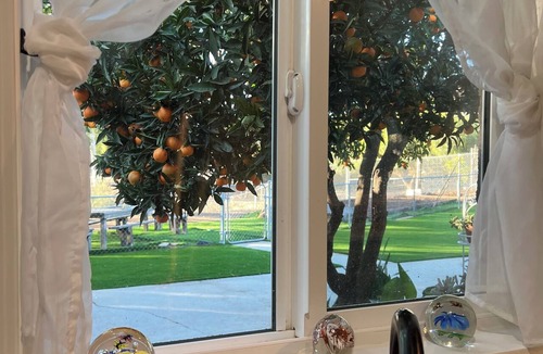 El Cajon House | Peaceful Ranch - Outdoor Smoking & Pets OK