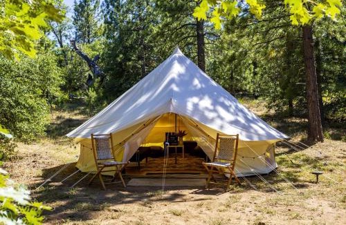 Mount Laguna Other | Pioneering Pet-Friendly Glamping: Mt. Laguna's Original Nature Lovers' Retreat