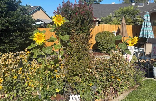 Redding House | Quaintly Queen in Charming Redding Close to Bethel & Mercy Shasta Hospital