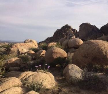 Monument Manor House | Rancho Rockotillo - Breakfast in the Boulders!