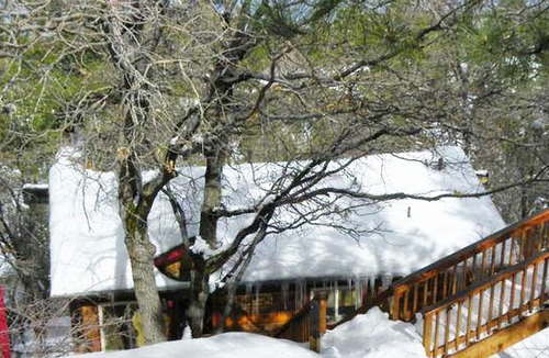 Upper Moonridge House | Rest N Relax Inn - Beautiful chalet-style cabin features dramatic forest and slope views!
