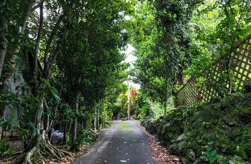 Motobu House | Stay like youre living in traditional Okinawa 1/Kunigami County Okinawa