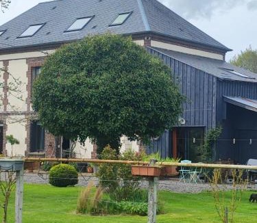 Meulles House | studio