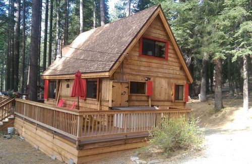 Talmont Cabin | Three Bears Cabin (2.5Bed/1B): Dog Friendly, Hot Tub, Curbside pick-up to Alpine