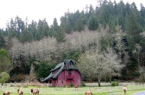 Berry Glenn Cabin | Upscale Farmhouse Cabin Encircled by Redwoods, Northern California