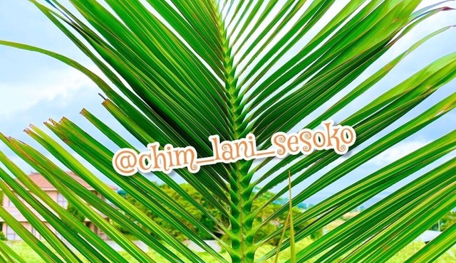 A 2LDK log house that can be enjoyed by families a/Kunigami-gun Okinawa