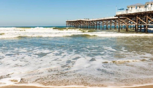Adorable Private Studio- Walk To Beach and Brunch!