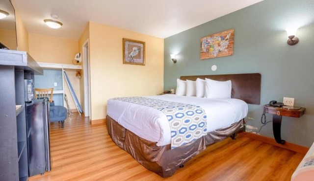Affordable and Comfortable Room Minutes from Surf and Sand