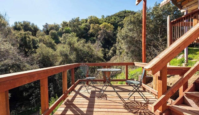 Artistic Dragonfly House with deck + private creek and trails to explore!