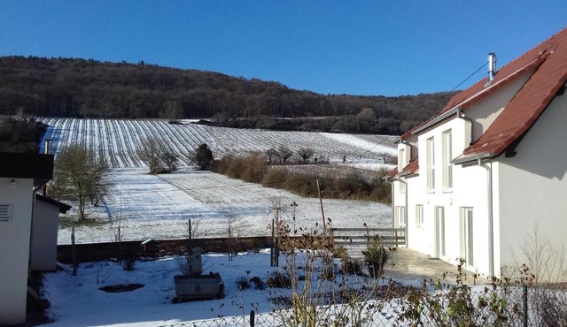 Aux vignes in Wissembourg